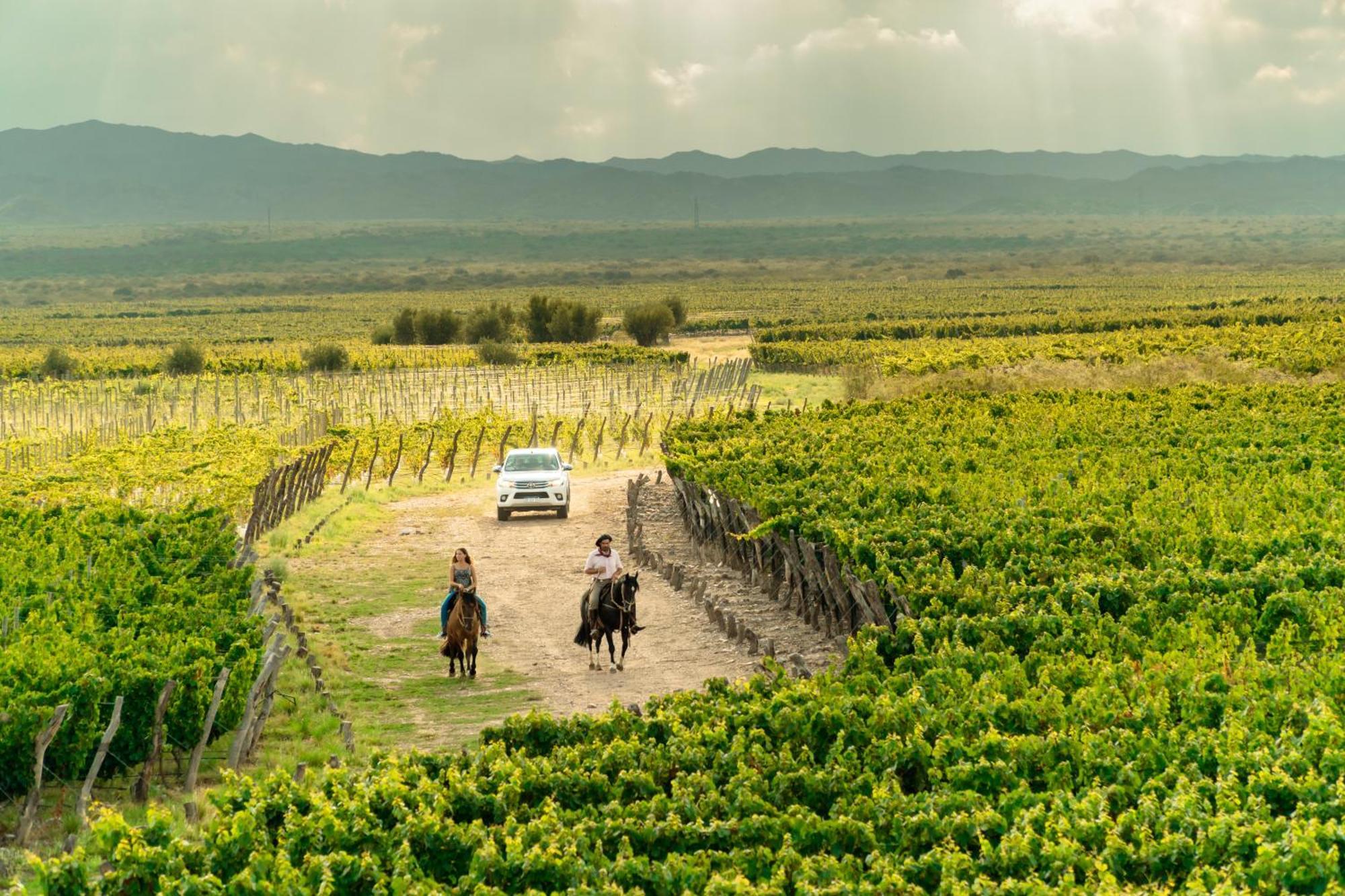 Rosell Boher Winery Lodge & Spa Agrelo Zewnętrze zdjęcie