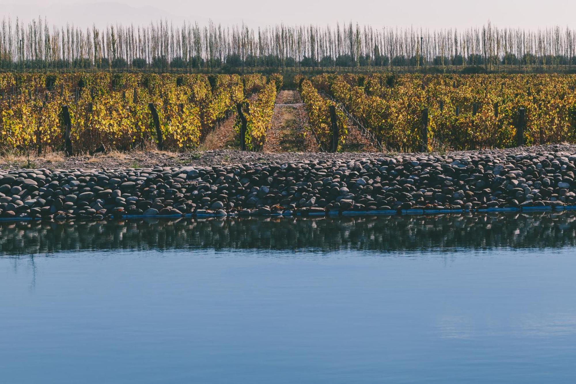 Rosell Boher Winery Lodge & Spa Agrelo Zewnętrze zdjęcie