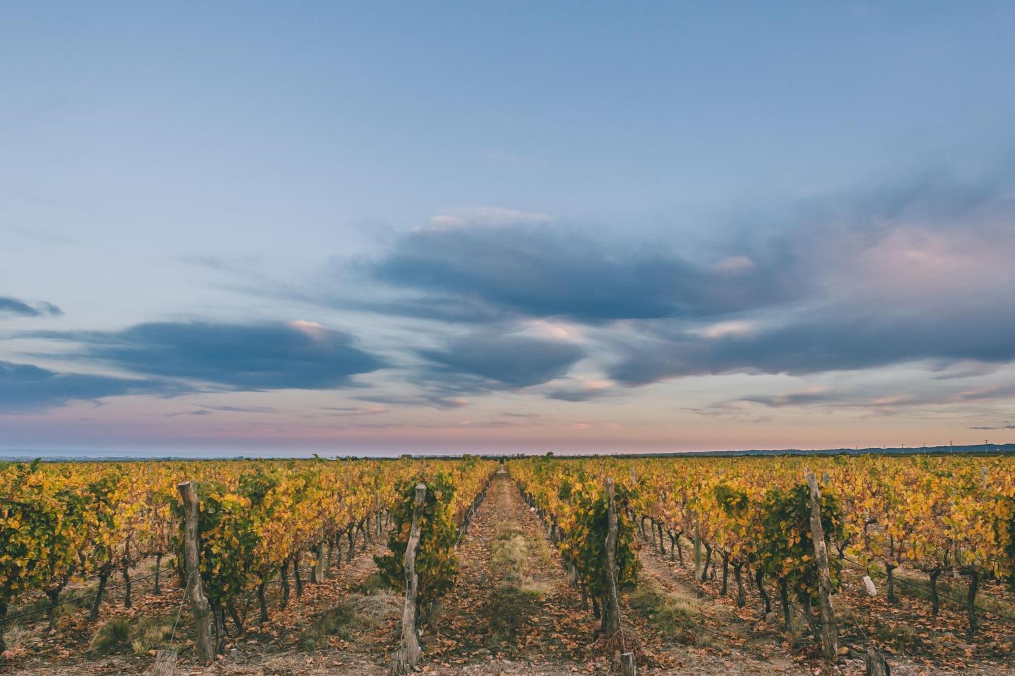 Rosell Boher Winery Lodge & Spa Agrelo Zewnętrze zdjęcie