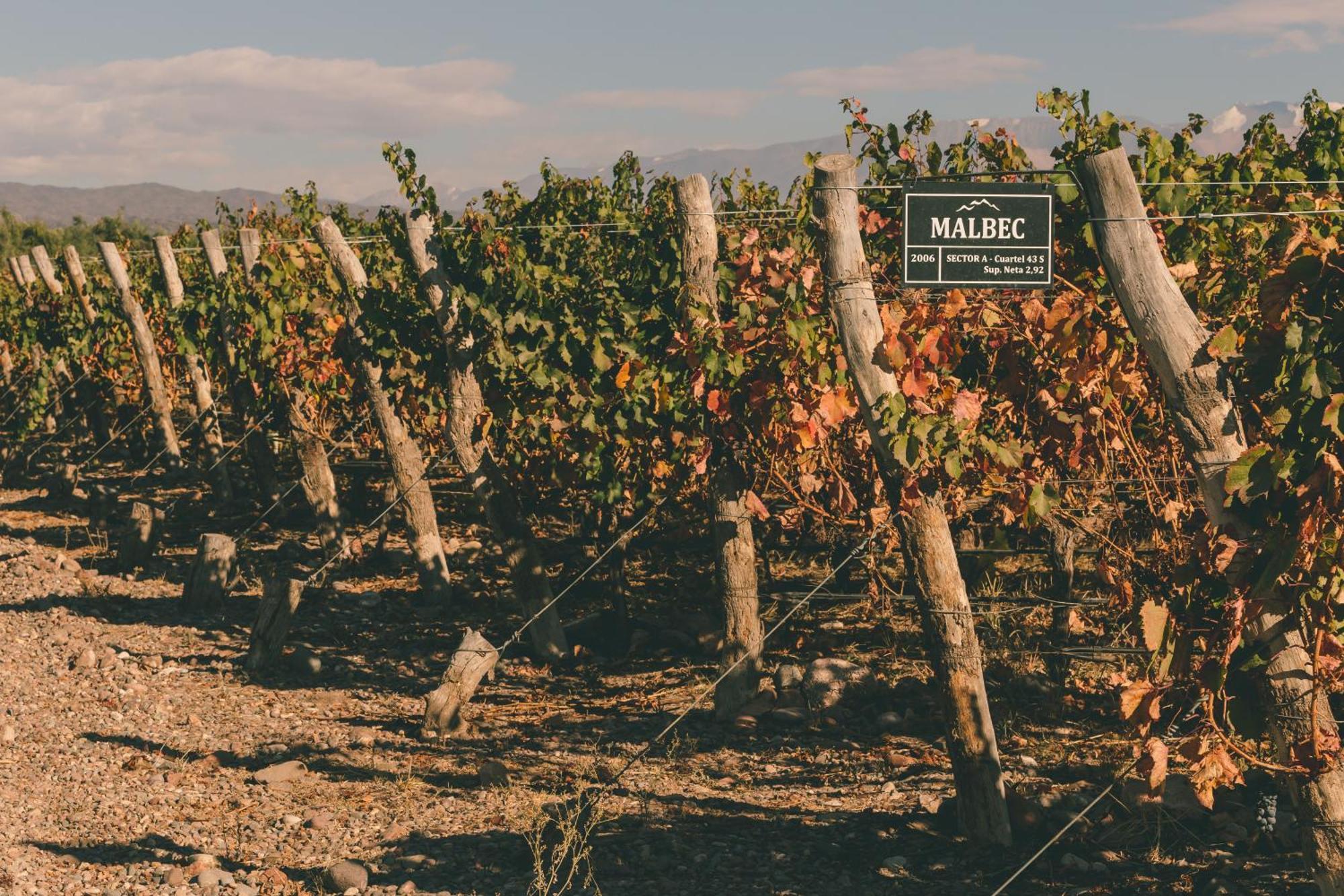 Rosell Boher Winery Lodge & Spa Agrelo Zewnętrze zdjęcie