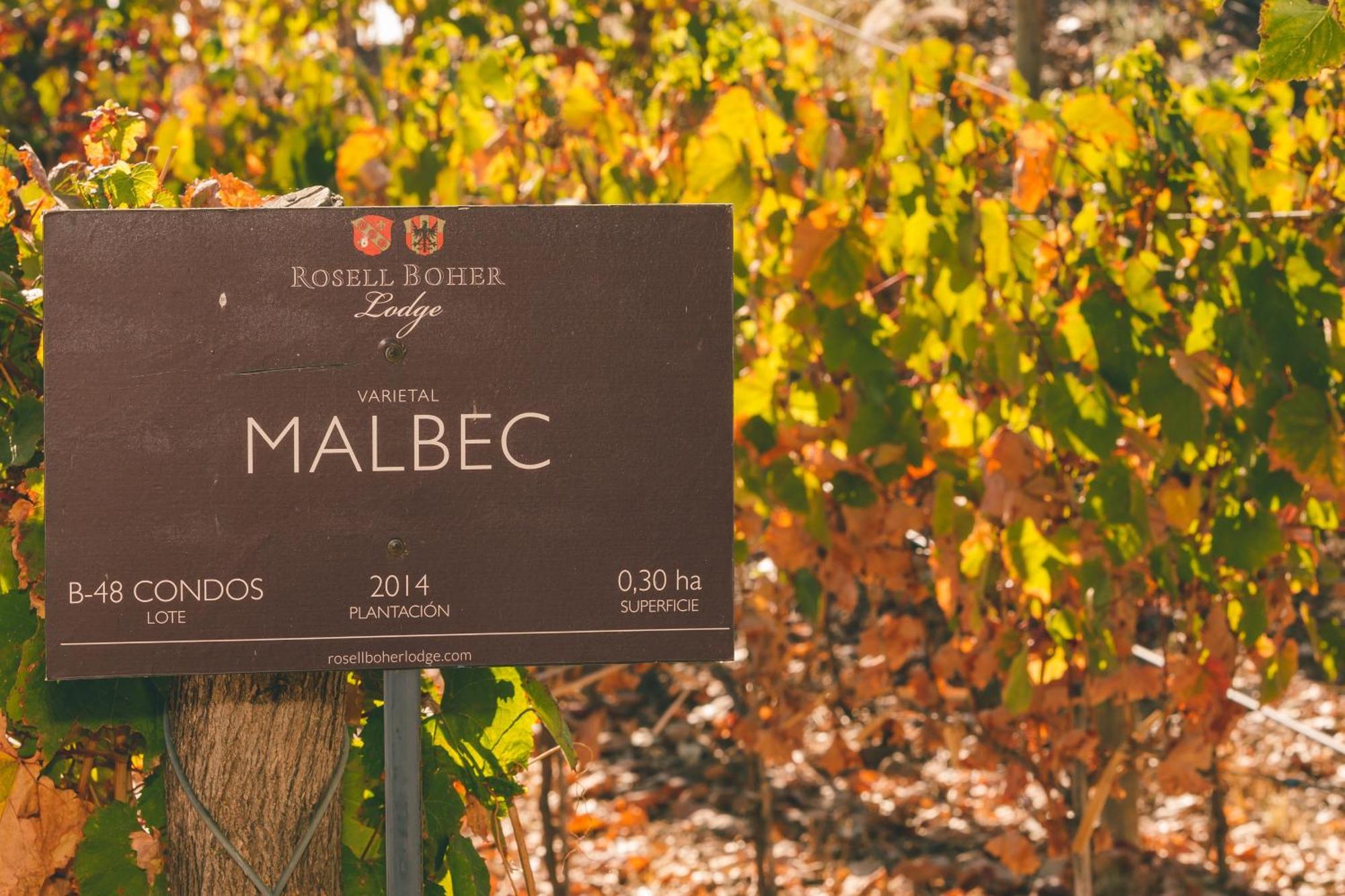 Rosell Boher Winery Lodge & Spa Agrelo Zewnętrze zdjęcie