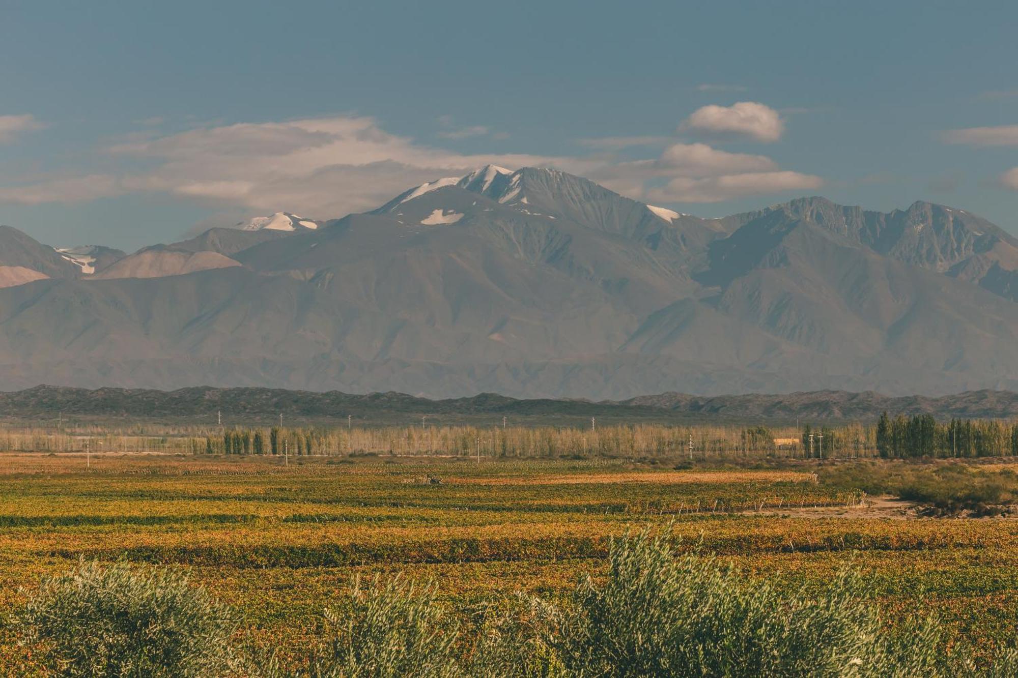 Rosell Boher Winery Lodge & Spa Agrelo Zewnętrze zdjęcie